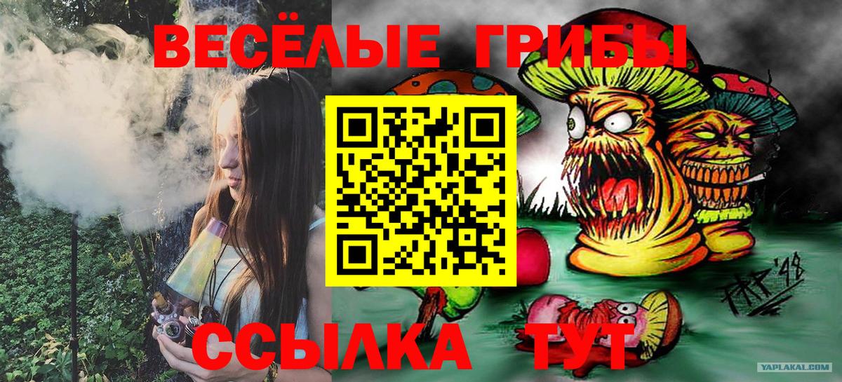 Псилоцибиновые грибы мицелий Черкесск