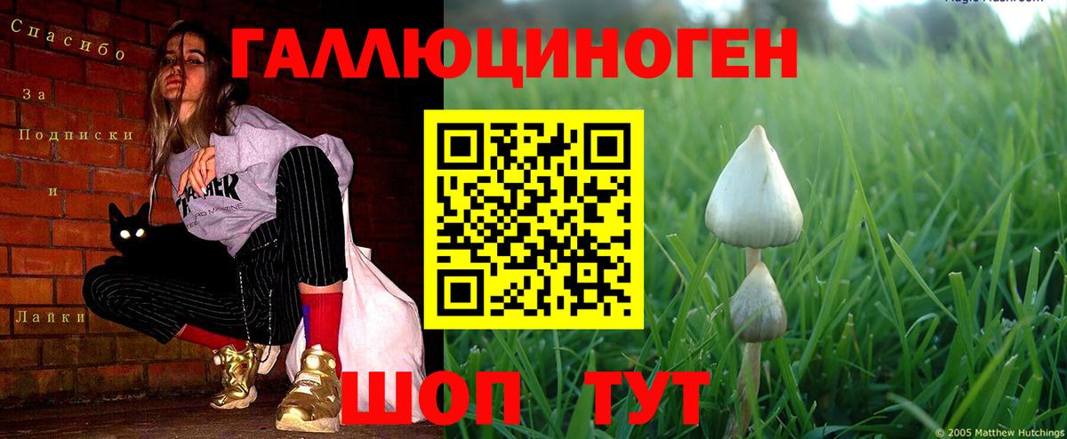 Черкесск  Галлюциногенные грибы мухоморы  Вход с VPN 